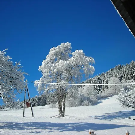Muhlbauer Lejlighed Wald im Pinzgau
