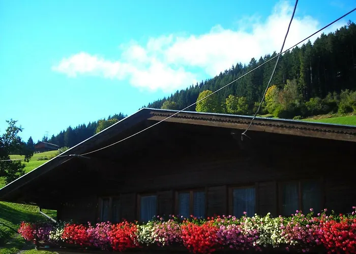 Muhlbauer Feriegård Wald im Pinzgau