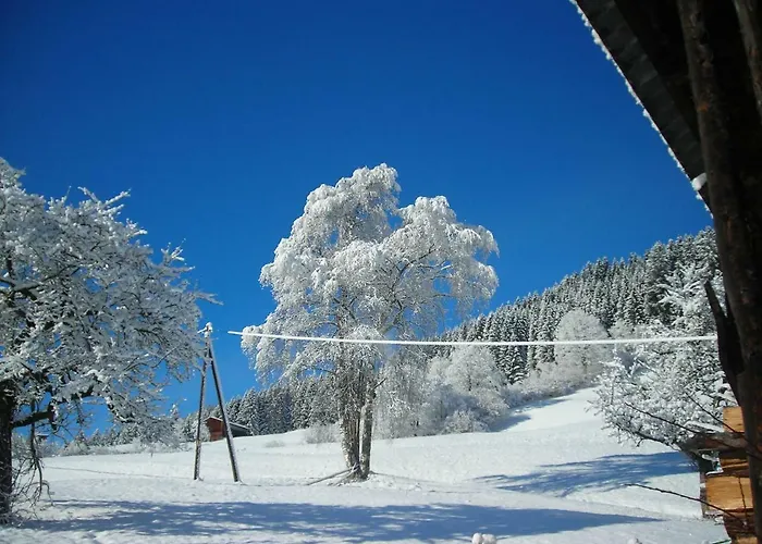 Muhlbauer *